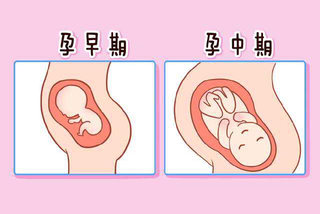 2024上海本地人怀孕在社区医院建卡流程是怎样的？