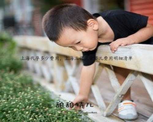 上海代孕多少费用，上海三代试管婴儿费用明细清单