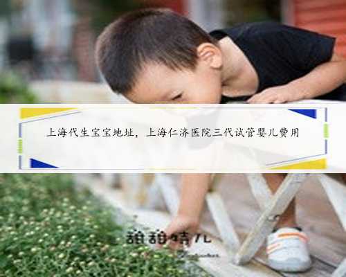 <b>上海代生宝宝地址，上海仁济医院三代试管婴儿费用</b>