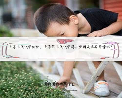 上海三代试管价位，上海第三代试管婴儿费用是比较昂贵吧？
