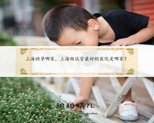上海助孕哪家，上海做试管最好的医院是哪家？