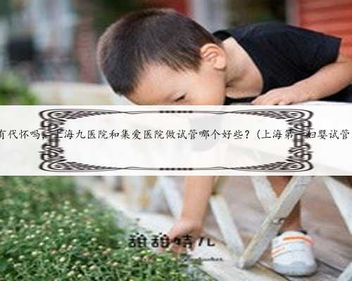 <b>上海医院有代怀吗，上海九医院和集爱医院做试管哪个好些？(上海第一妇婴试</b>