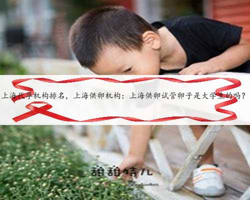 上海代孕机构排名，上海供卵机构：上海供卵试管卵子是大学生的吗？