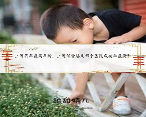 <b>上海代孕最高年龄，上海试管婴儿哪个医院成功率最高？</b>