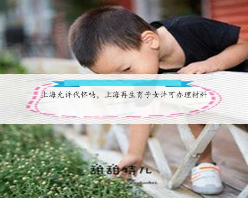 上海允许代怀吗，上海再生育子女许可办理材料
