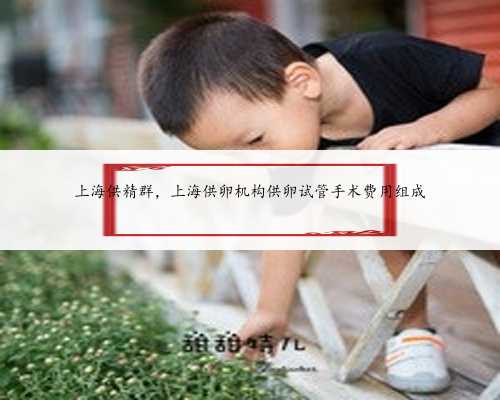 上海供精群，上海供卵机构供卵试管手术费用组成