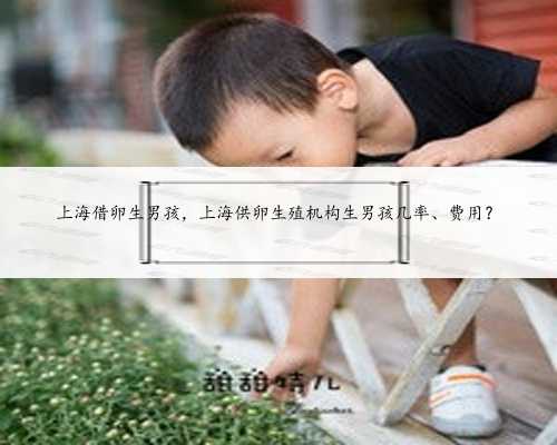 上海借卵生男孩，上海供卵生殖机构生男孩几率、费用？