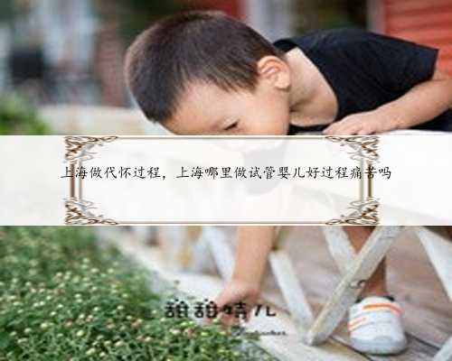 上海做代怀过程，上海哪里做试管婴儿好过程痛苦吗