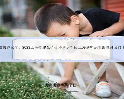 上海借供卵试管，2023上海借卵生子价格多少？附上海供卵试管医院排名前十名