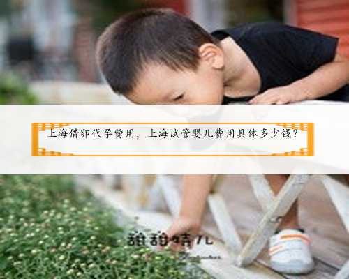 <b>上海借卵代孕费用，上海试管婴儿费用具体多少钱？</b>