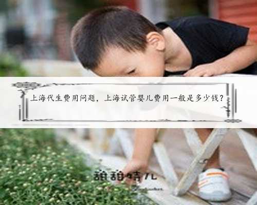 <b>上海代生费用问题，上海试管婴儿费用一般是多少钱？</b>