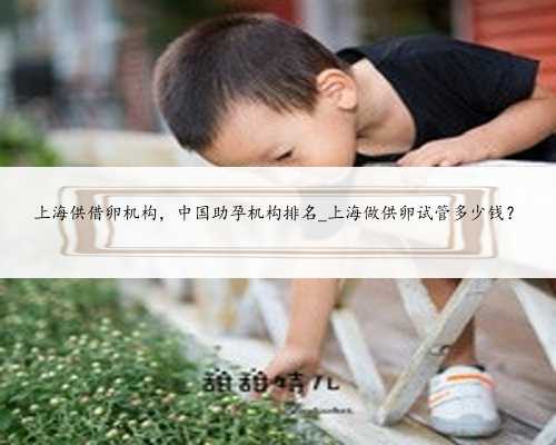 上海供借卵机构，中国助孕机构排名_上海做供卵试管多少钱？