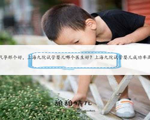<b>上海代孕那个好，上海九院试管婴儿哪个医生好？上海九院试管婴儿成功率高吗</b>