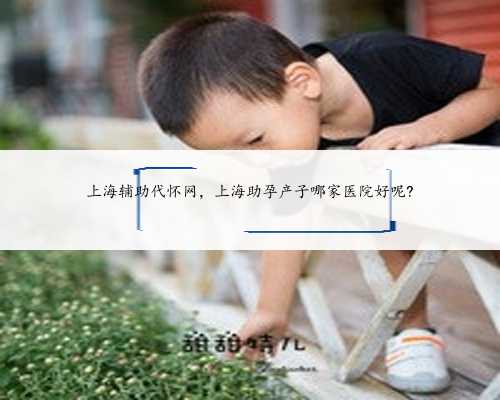 上海辅助代怀网，上海助孕产子哪家医院好呢?