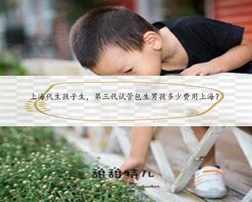 上海代生孩子生，第三代试管包生男孩多少费用上海？