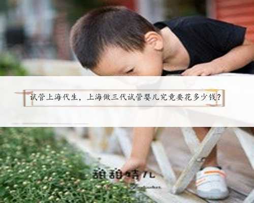 试管上海代生，上海做三代试管婴儿究竟要花多少钱？