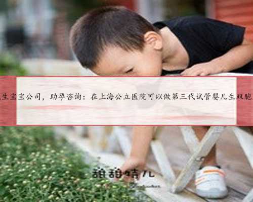 上海代生宝宝公司，助孕咨询：在上海公立医院可以做第三代试管婴儿生双胞胎