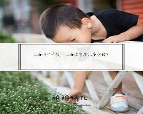 上海供卵价钱，上海试管婴儿多少钱？