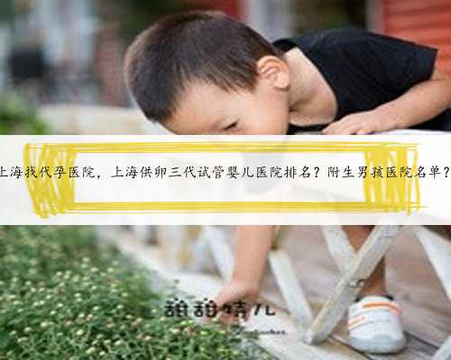 <b>上海找代孕医院，上海供卵三代试管婴儿医院排名？附生男孩医院名单？</b>