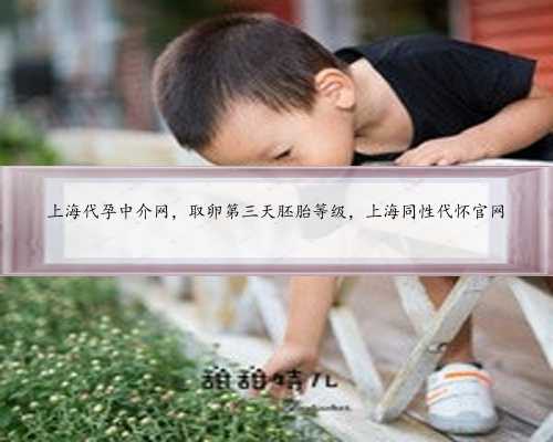 <b>上海代孕中介网，取卵第三天胚胎等级，上海同性代怀官网</b>