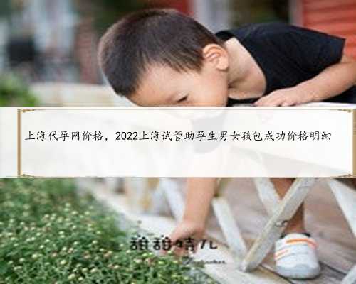 上海代孕网价格，2022上海试管助孕生男女孩包成功价格明细