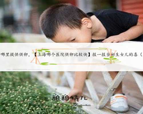 上海哪里提供供卵，【上海哪个医院供卵比较快】报一报当初生女儿的喜（上）