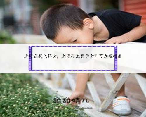 上海在找代怀女，上海再生育子女许可办理指南