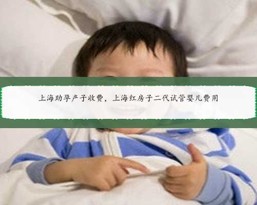 上海助孕产子收费，上海红房子二代试管婴儿费用