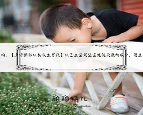 上海代妈机构，【上海供卵机构包生男孩】祝已生宝妈宝宝健健康康的成长，没