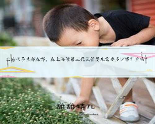 上海代孕总部在哪，在上海做第三代试管婴儿需要多少钱？贵吗？