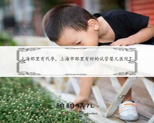 上海那里有代孕，上海市那里有好的试管婴儿医院？