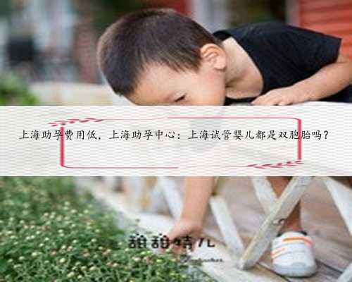上海助孕费用低，上海助孕中心：上海试管婴儿都是双胞胎吗？