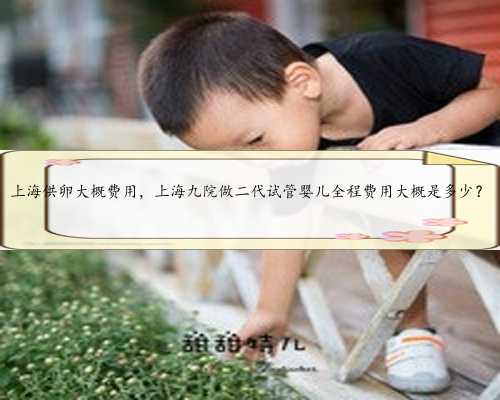 上海供卵大概费用，上海九院做二代试管婴儿全程费用大概是多少？