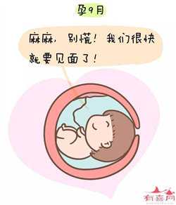 上海助孕一般得费用，上海做试管婴儿费用多少钱？大约多少？
