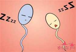 <b>上海供卵中心靠谱吗，上海世纪助孕做供卵试管靠谱吗？</b>